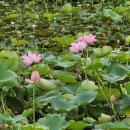 공동정호 이미지