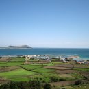 진흥민박 이미지