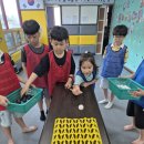 충주태권도 | 충주 S클래스 용산 태권도 여름 특별 활동 1박2일캠프 체험기