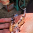 훈이시락국 이미지