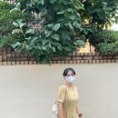 슬로우포레스트 이미지