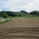 비석농장 이미지