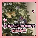 용휴게음식점 | 홍대생일파티 홍대루프탑바베큐 홍대파티룸 메리후드 메리나잇 후기