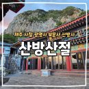 제주불교성지 순례길 절로 가는길 - 지계의 길 | 제주 사찰 투어 광명사 산방사 보문사 산방산 절