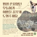 우동이의 대부모님을 손모아 간절히 기다립니다.🙏🙏 이미지