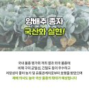 사계절 솔루션