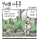 선녀와나무꾼 이미지