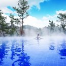 나무늘보호텔 이미지