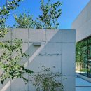 스테이 니와 이미지