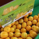 권오선농장 이미지