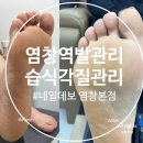 네일데보염창