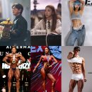 에이치핏 이미지