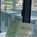 잠실새내미용실 : 헤어벨라시마 탈색모 클리닉 후기 feat.다솜 실장님