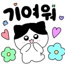 쏘스윗펫살롱 이미지