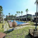 제주베아툼 이미지