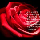 스마트폰 마스터클래스 | 스마트폰으로 완성하는 감성사진 마스터 클래스