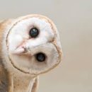 송기원 진주냉면본점 이미지