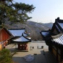 청계사 경내 이미지