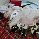 (주)마하 이미지