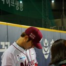 조짐 이미지