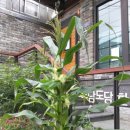 도담도담 한옥도서관 이미지