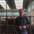 옥천축산 이미지