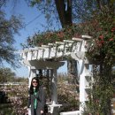 오크앨리 이미지