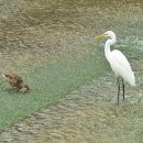 우이천 산책로 이미지