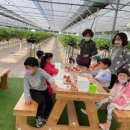 영덕야성초등학교병설유치원 미디어투데이