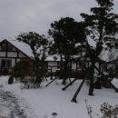 통나무힐스 이미지