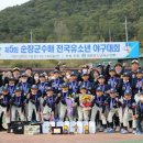 김포시뉴리틀야구단