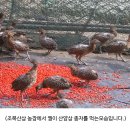 종산농장 이미지