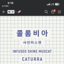퍼블릭커피로스터즈