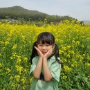 RE:🌼 양산 황산공원에 다녀왔어요 - 유채꽃 🌼 이미지