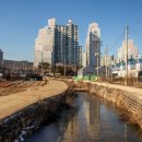 오룡골천 이미지