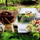 유수농장 이미지