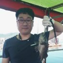 훼미리호 좌대낚시터 이미지