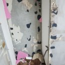 온누리건강하우스 이미지