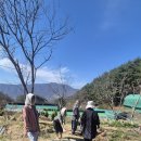 나누리농원 이미지