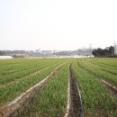 유옥농장 이미지