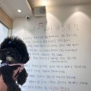 베릴키키 이미지