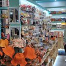 주식회사 더세이프렌터카 | 제주도 렌트카 추천_밤 비행기도 걱정 없는 더 세이프 렌트카 솔직 이용후기