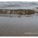 화창운수 이미지