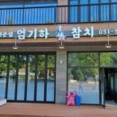 엄기하참치 이미지