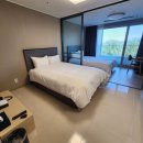 더블루테라 이미지