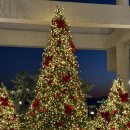 천성대항길 | 가덕도카페 스톤라운지ㅣ두쫀쿠 두바이쫀득쿠키 먹어본 솔직 후기