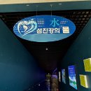 섬진강어류생태관 | 구례 아이와 가볼만한 곳 실내 섬진강어류생태관 후기