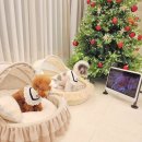 써니케어 이미지