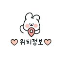 연향81