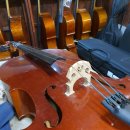 동두천여자중학교 이미지